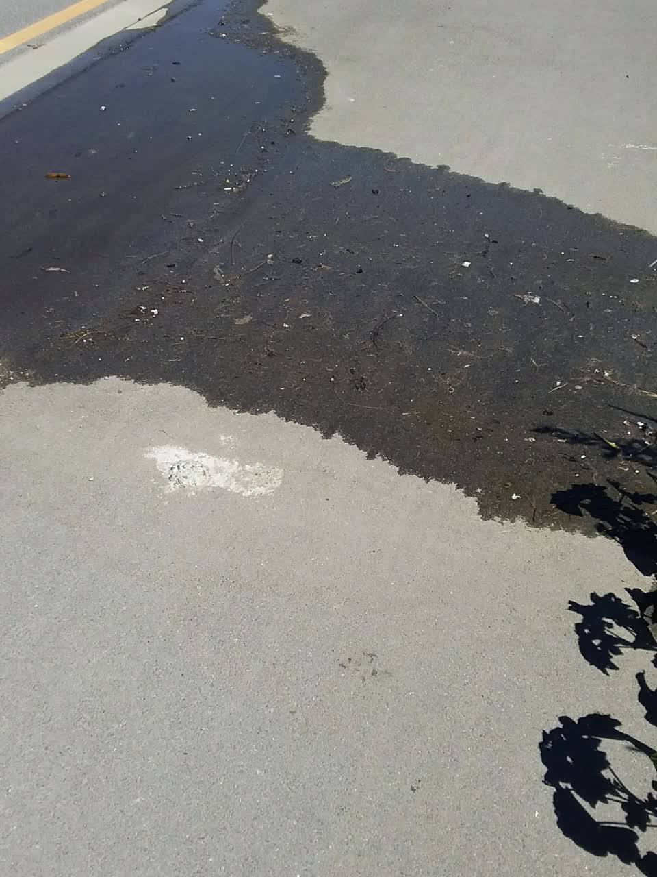 The photograph attached to this water leak report