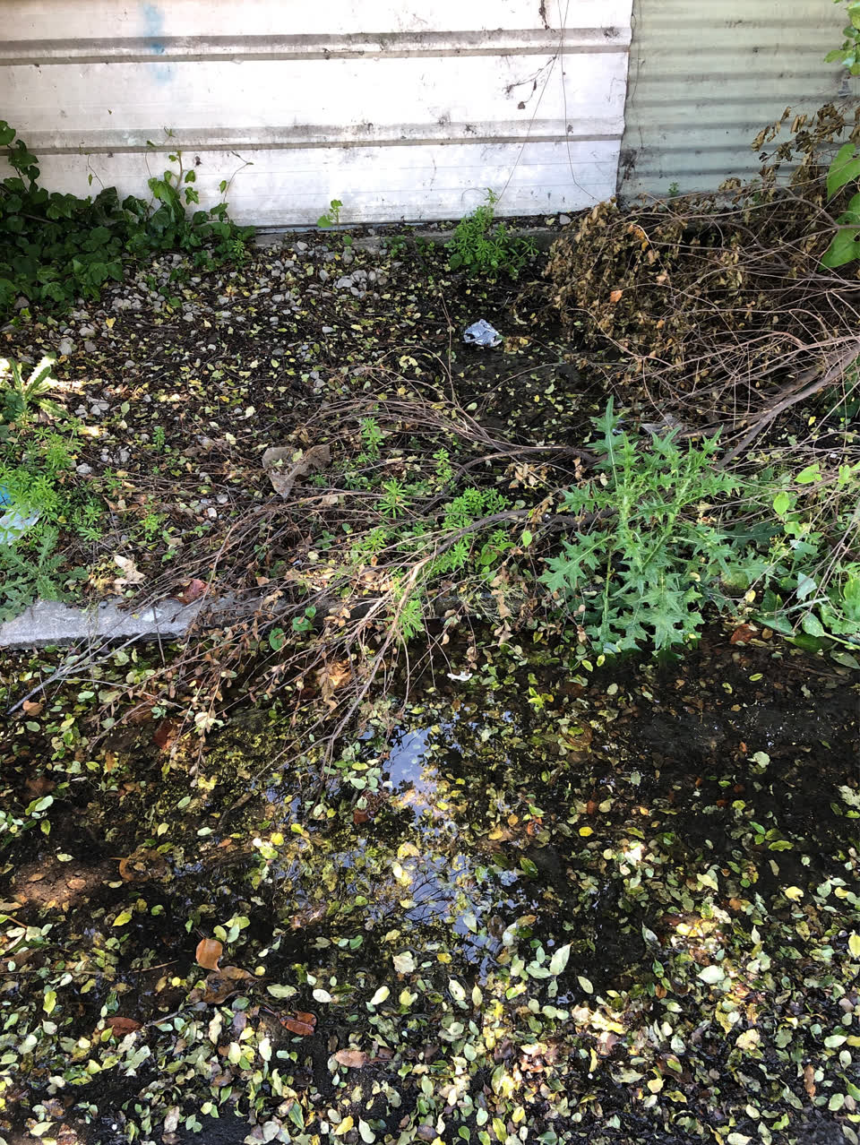 The photograph attached to this water leak report