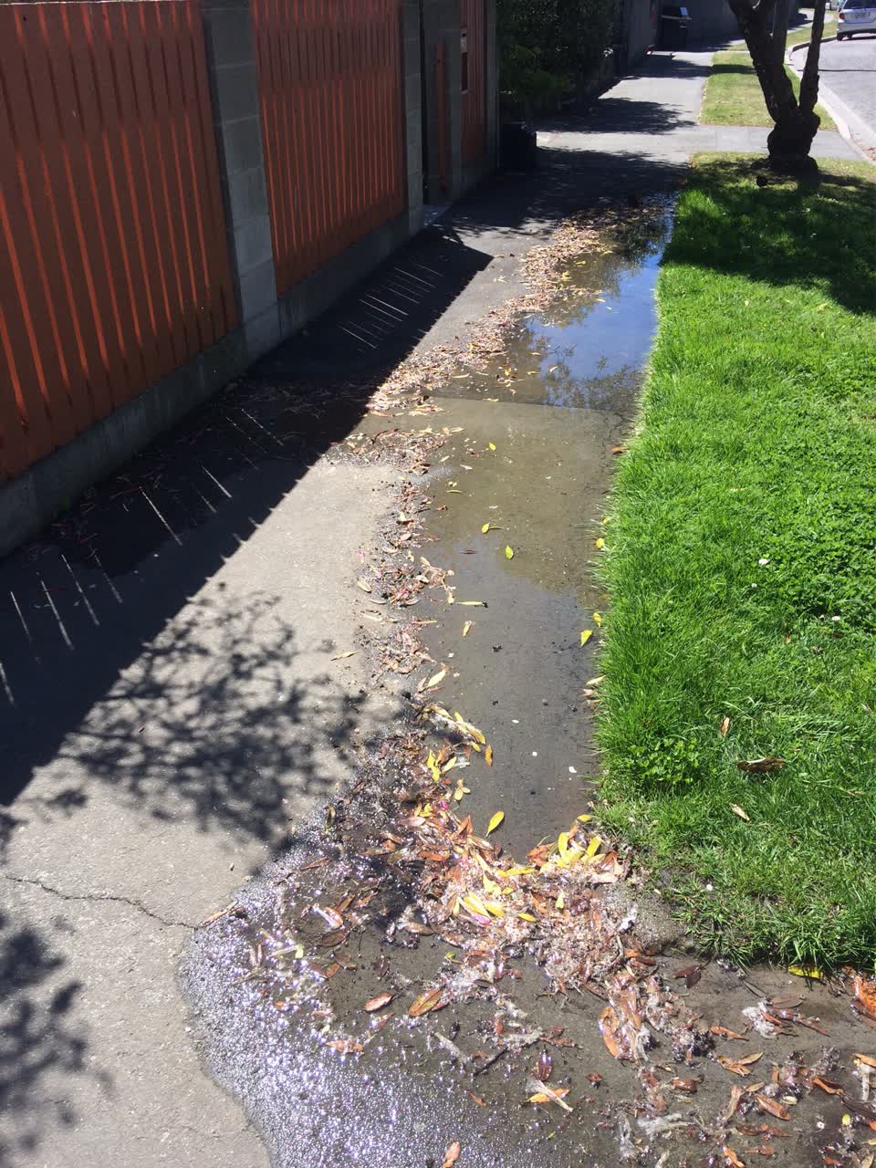 The photograph attached to this water leak report