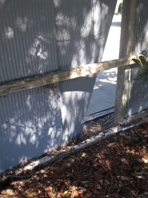 Parks, a report photo