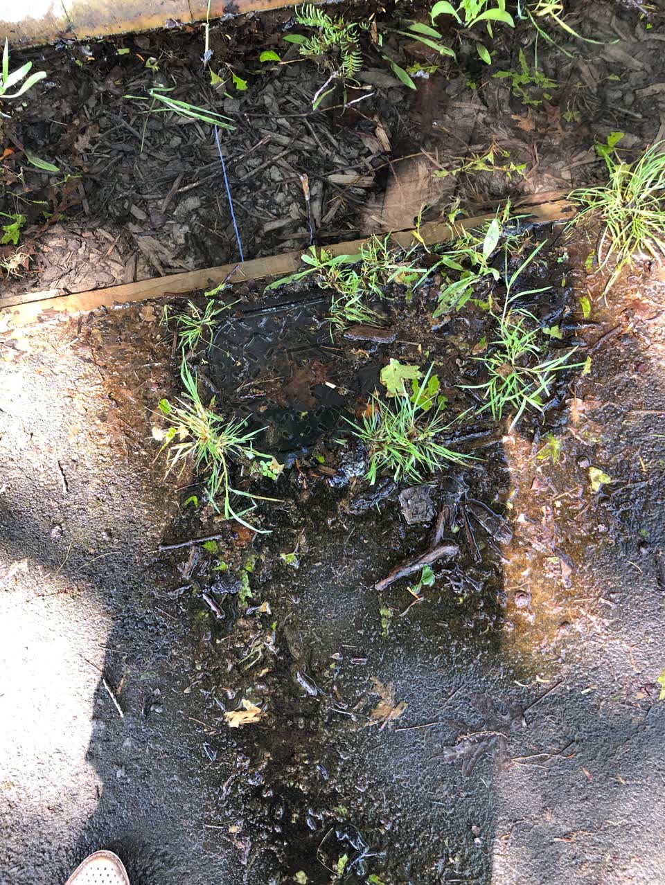 The photograph attached to this water supply report