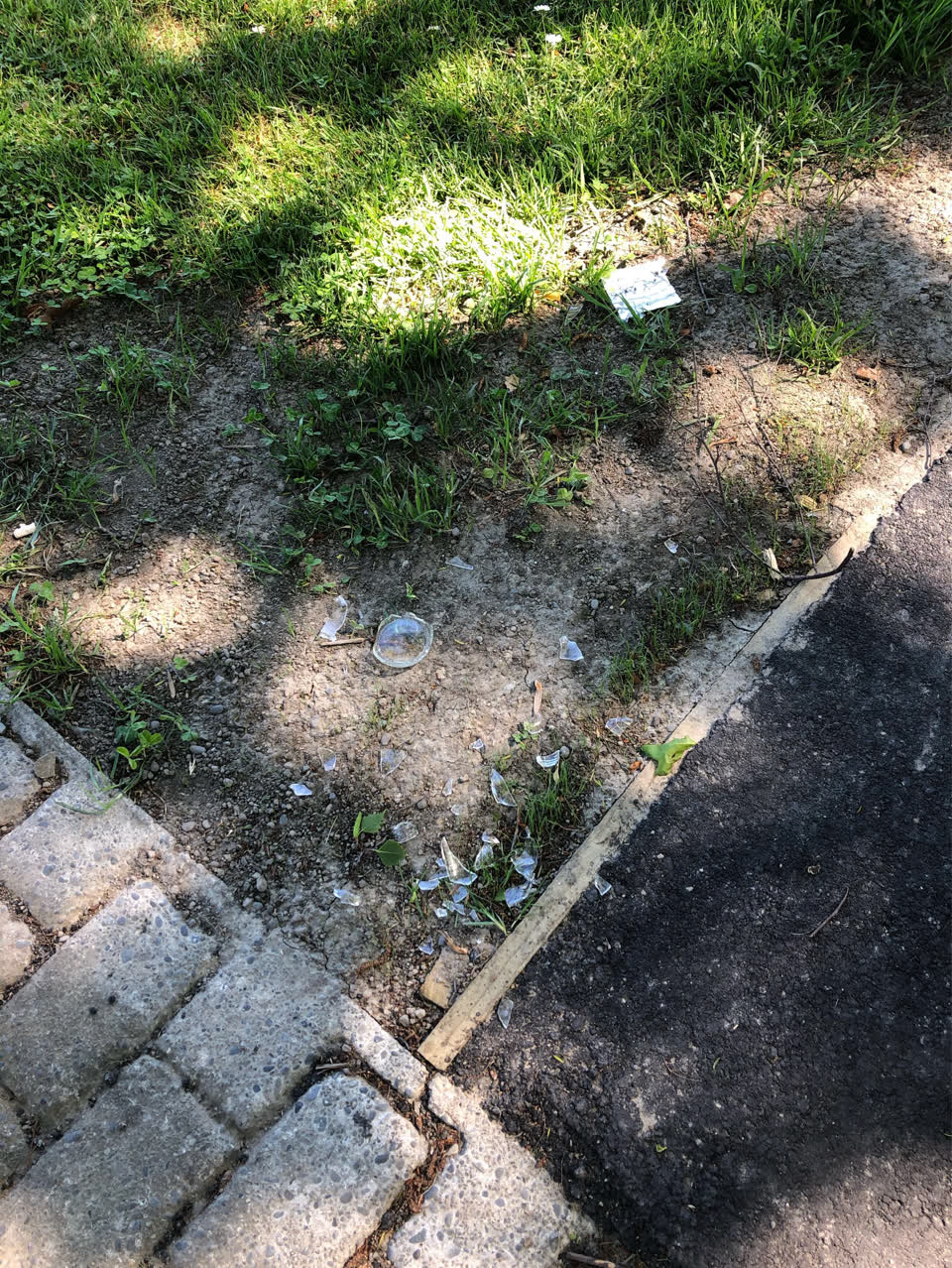 The photograph attached to this parks report