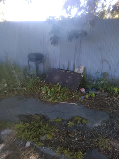 Rubbish/Recycling — a report photo