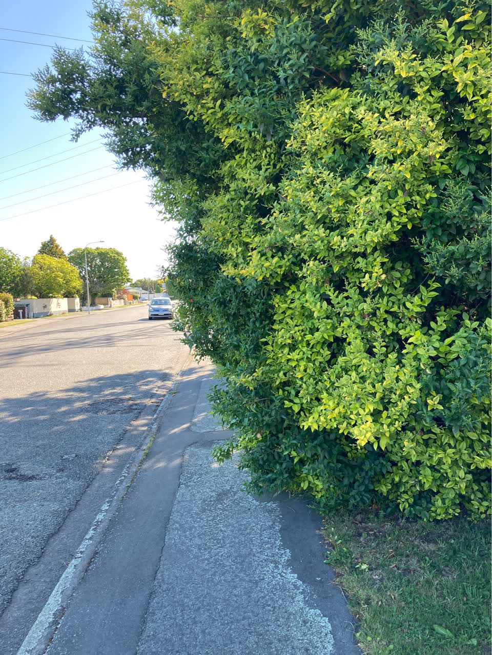 The photograph attached to this roading/streets report