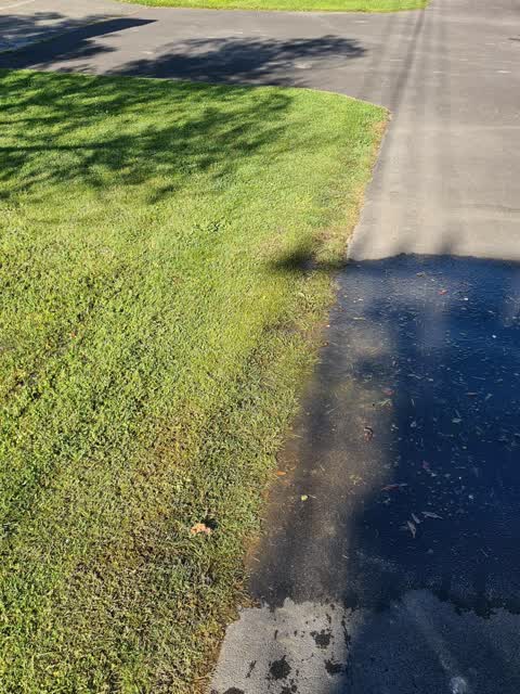 Water Leak, a report photo