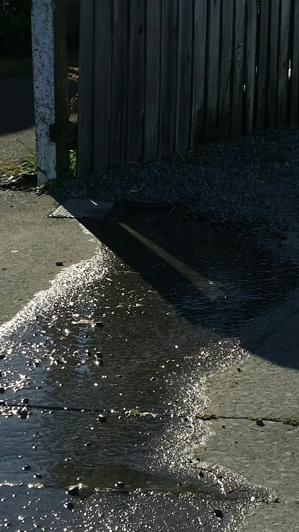 The photograph attached to this water leak report