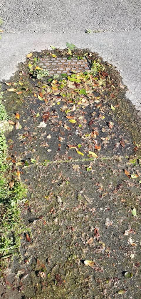 Water Leak, a report photo
