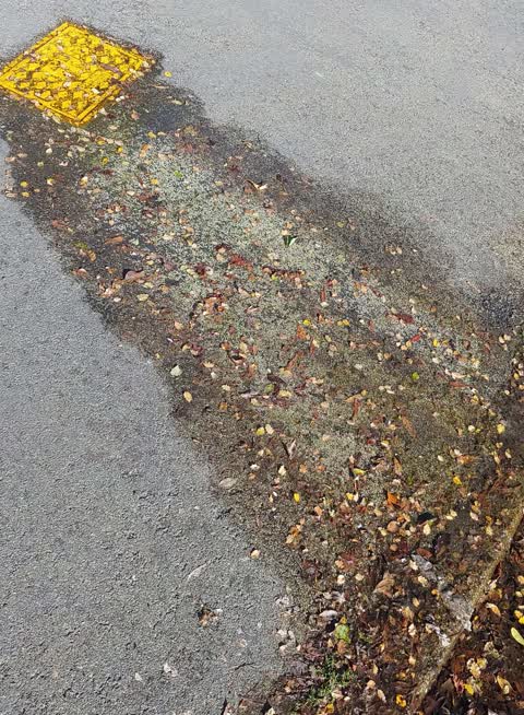 Water Leak, a report photo