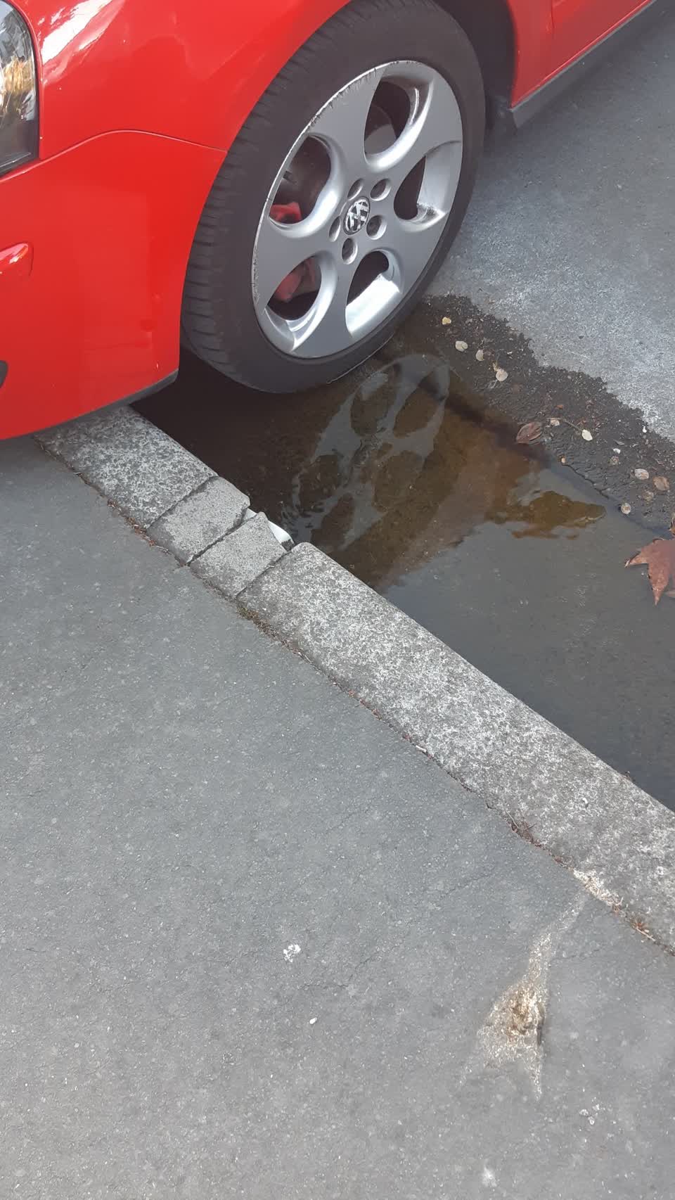 The photograph attached to this water leak report