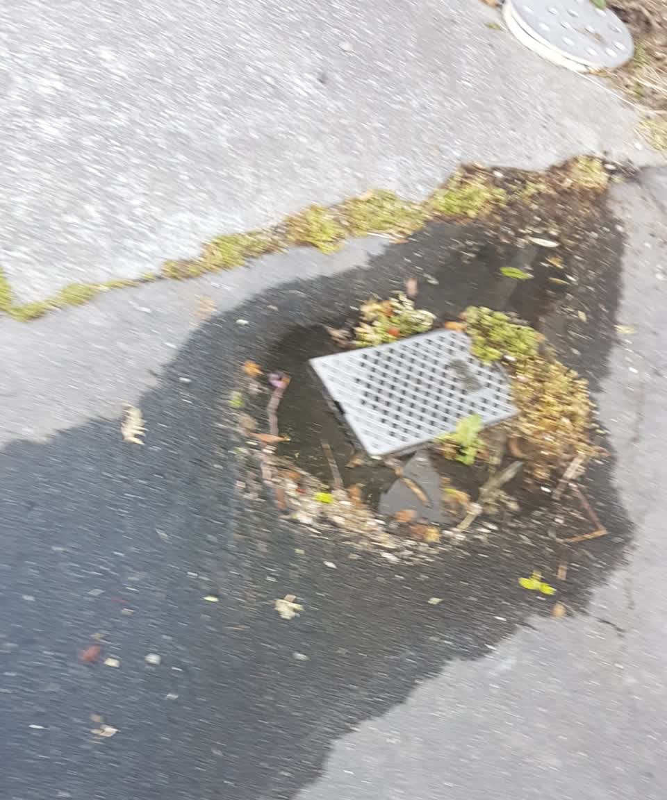 The photograph attached to this water leak report