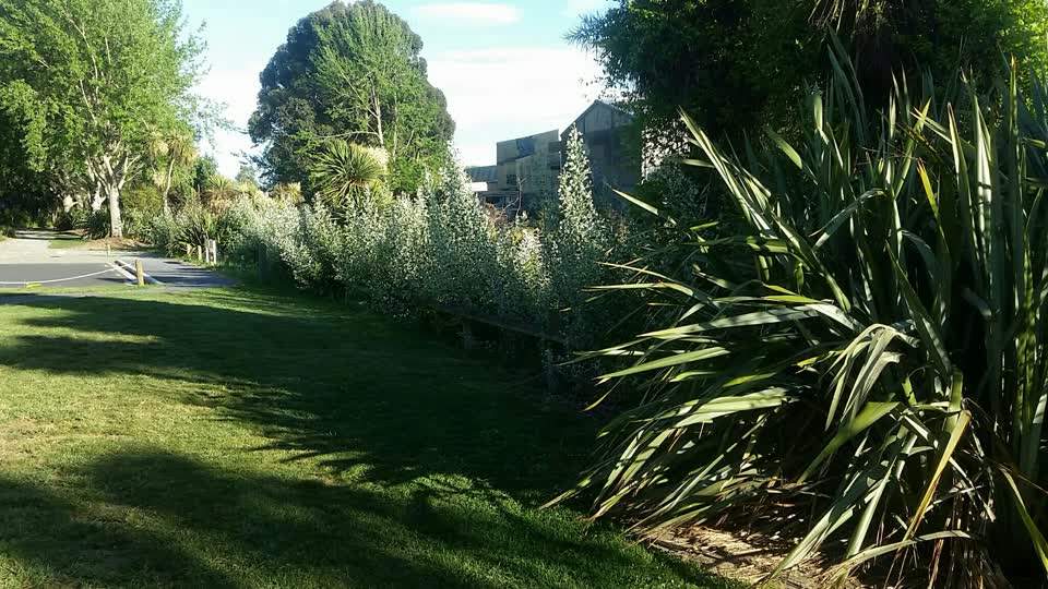 The photograph attached to this parks report