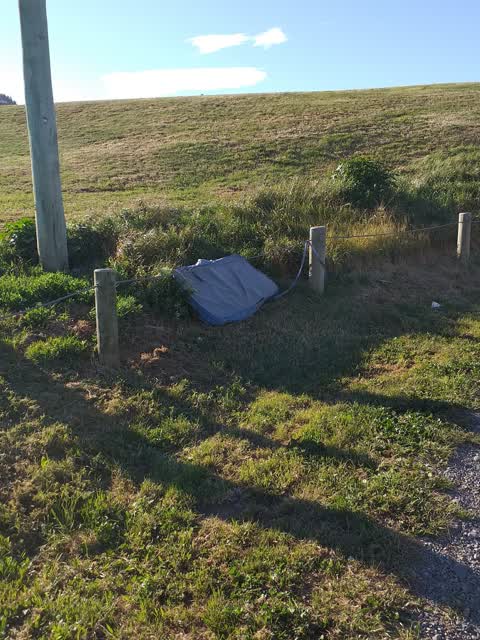 Rubbish/Recycling — a report photo