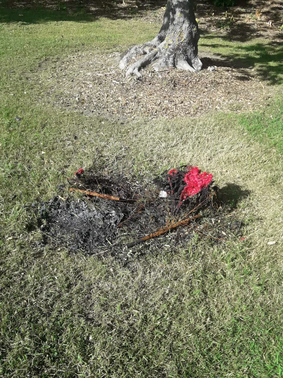 The photograph attached to this parks report