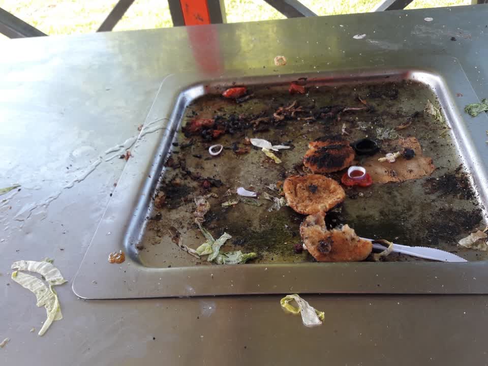 The photograph attached to this parks report
