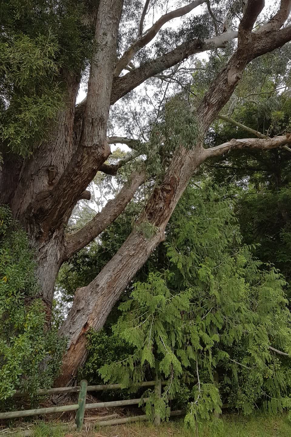 The photograph attached to this parks report