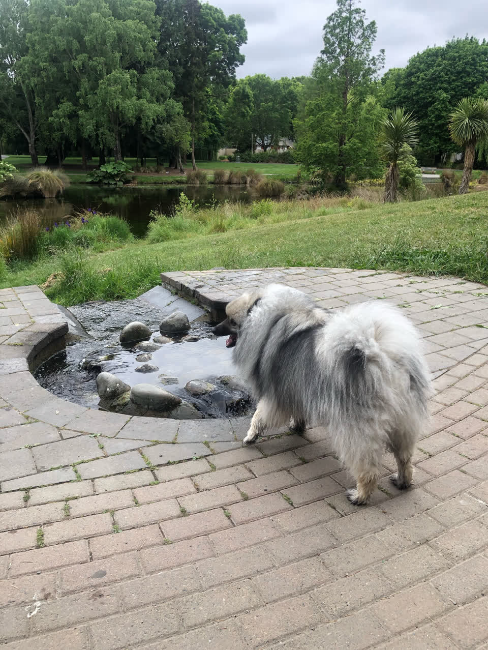 The photograph attached to this parks report