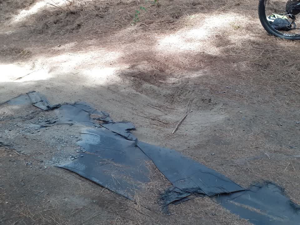 The photograph attached to this parks report