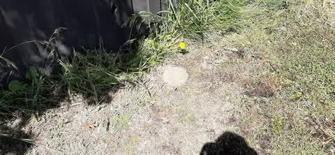 Water Leak — a report photo