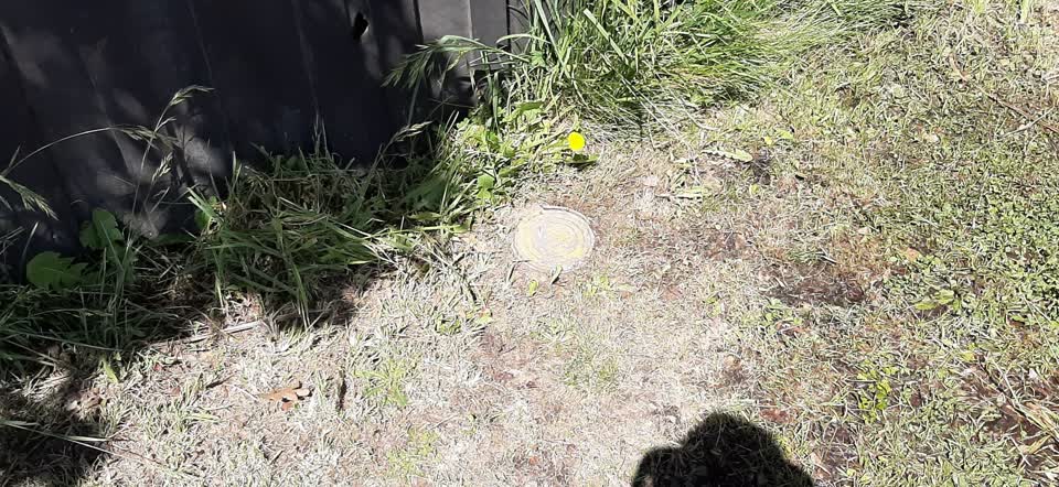 The photograph attached to this water leak report