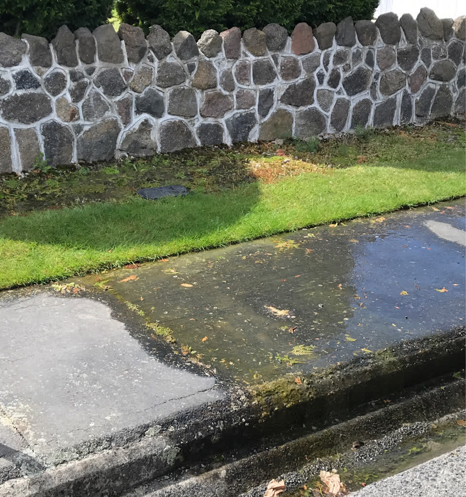 The photograph attached to this water leak report