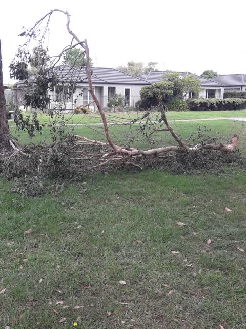 Parks, a report photo