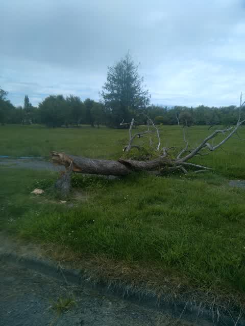 Parks, a report photo