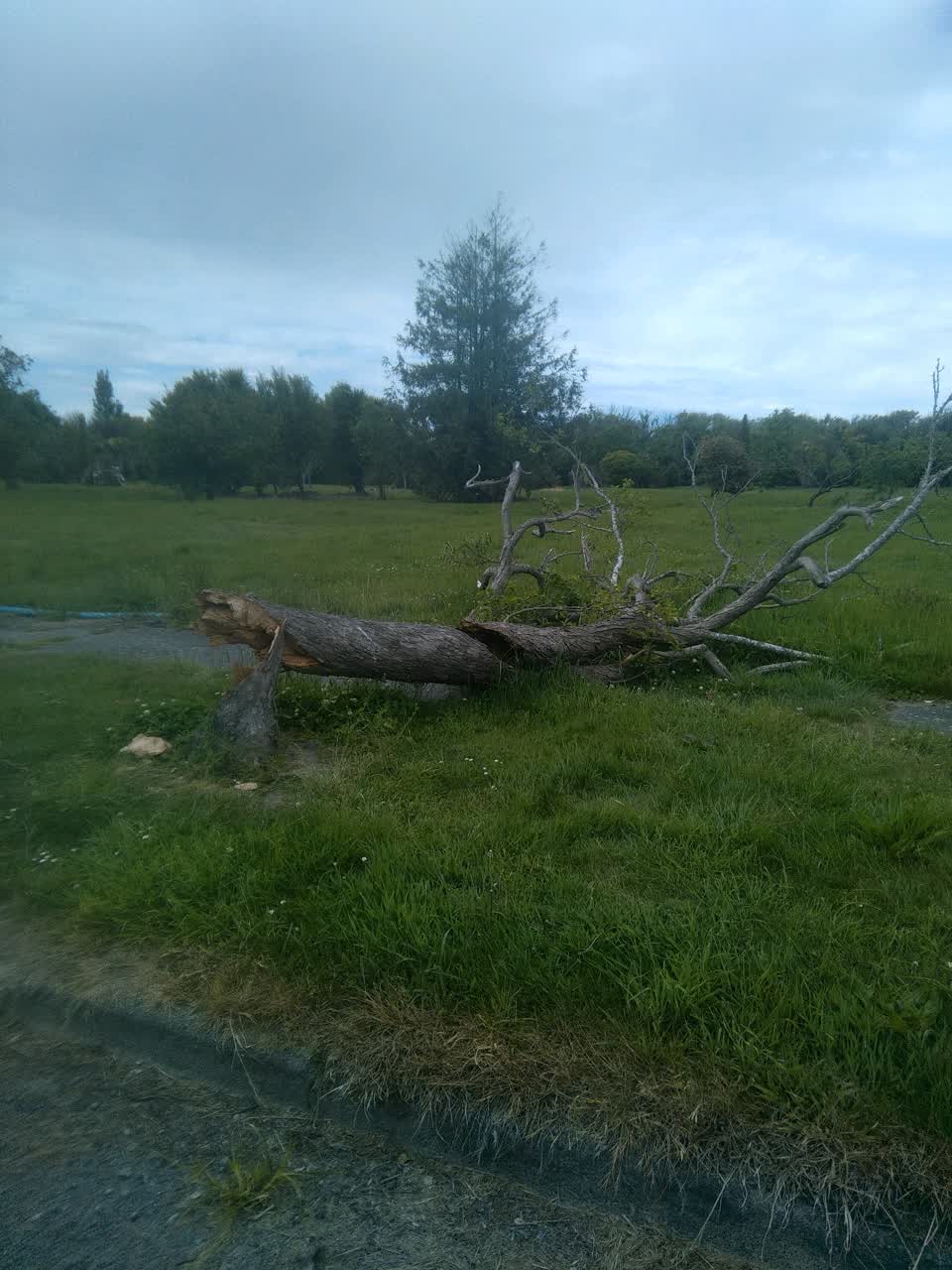 The photograph attached to this parks report