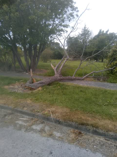 Parks, a report photo