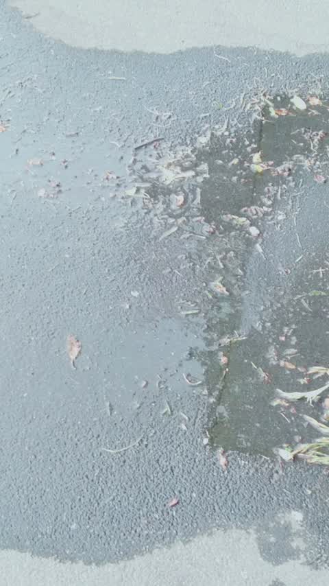 Water Leak, a report photo
