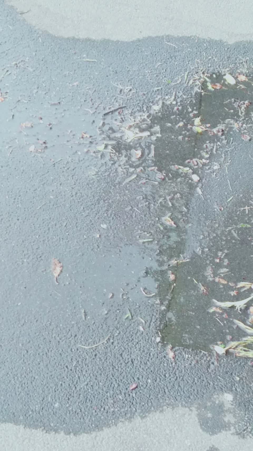 The photograph attached to this water leak report