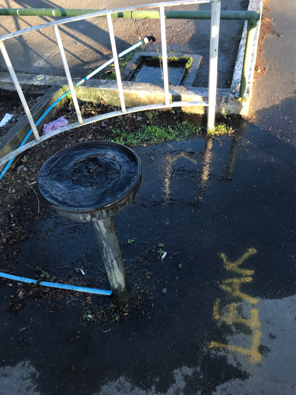 The photograph attached to this water leak report