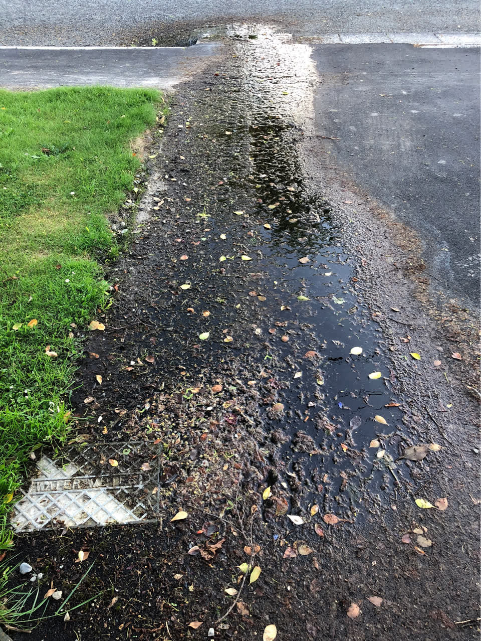 The photograph attached to this water leak report