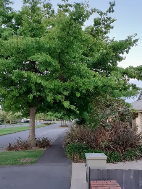 Roading/Streets, a report photo