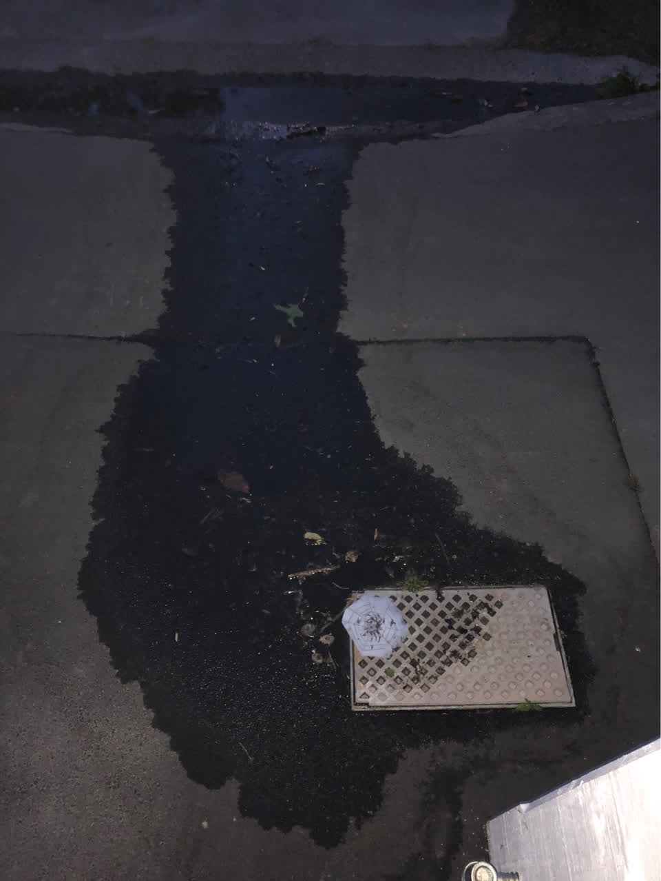 The photograph attached to this water leak report