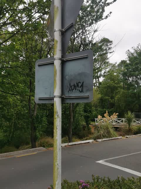 Graffiti, a report photo