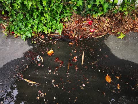 Water Leak, a report photo