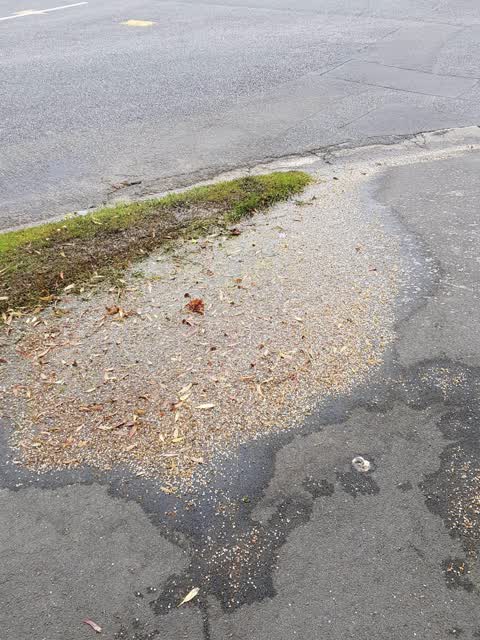 Water Leak, a report photo