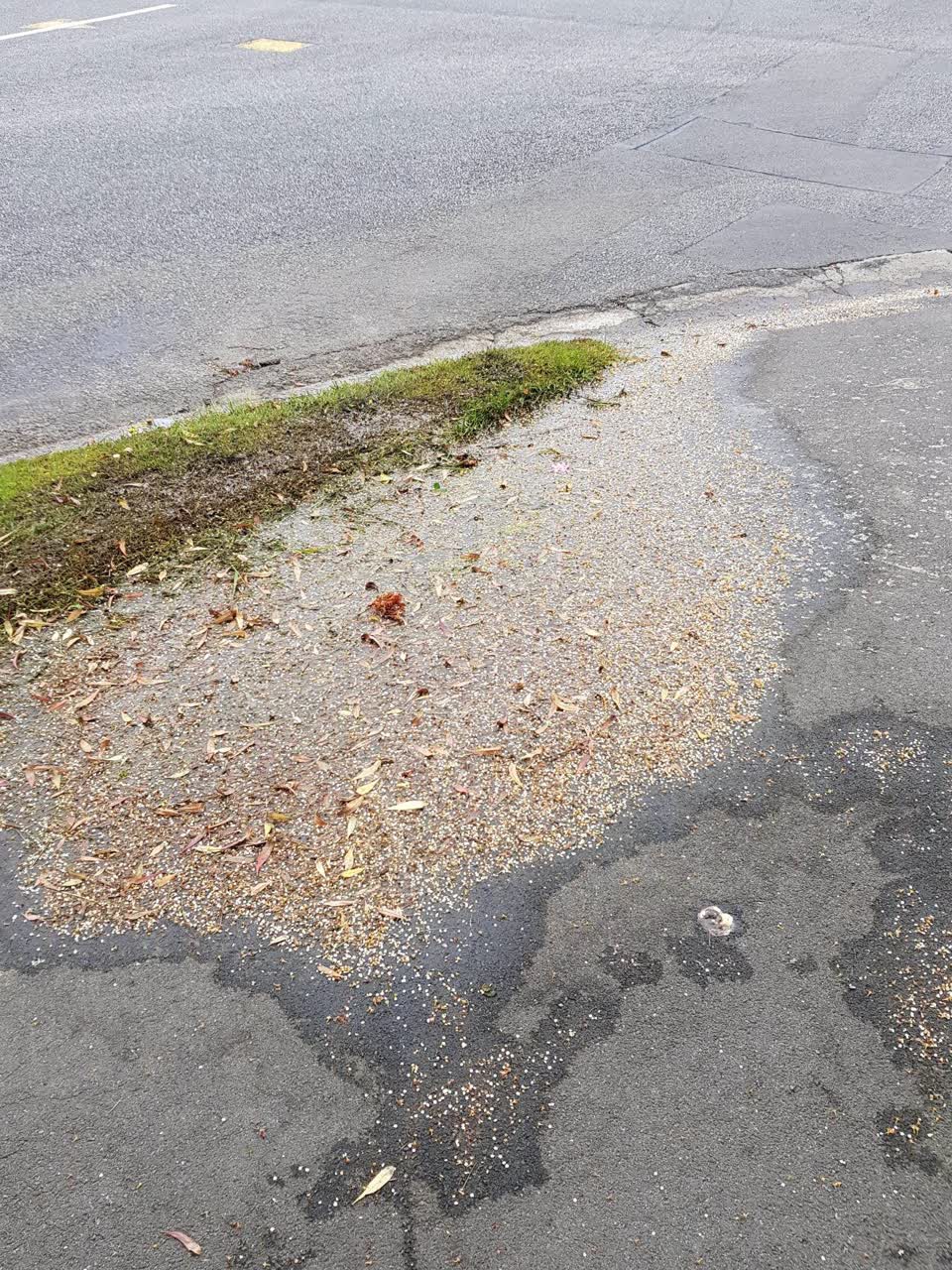 The photograph attached to this water leak report