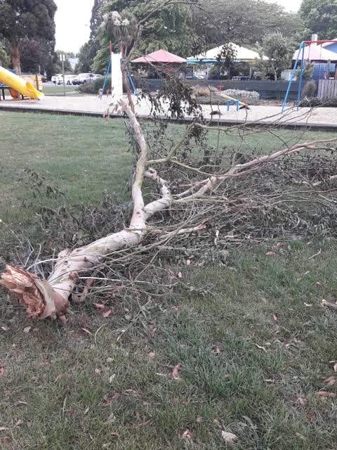 Parks, a report photo