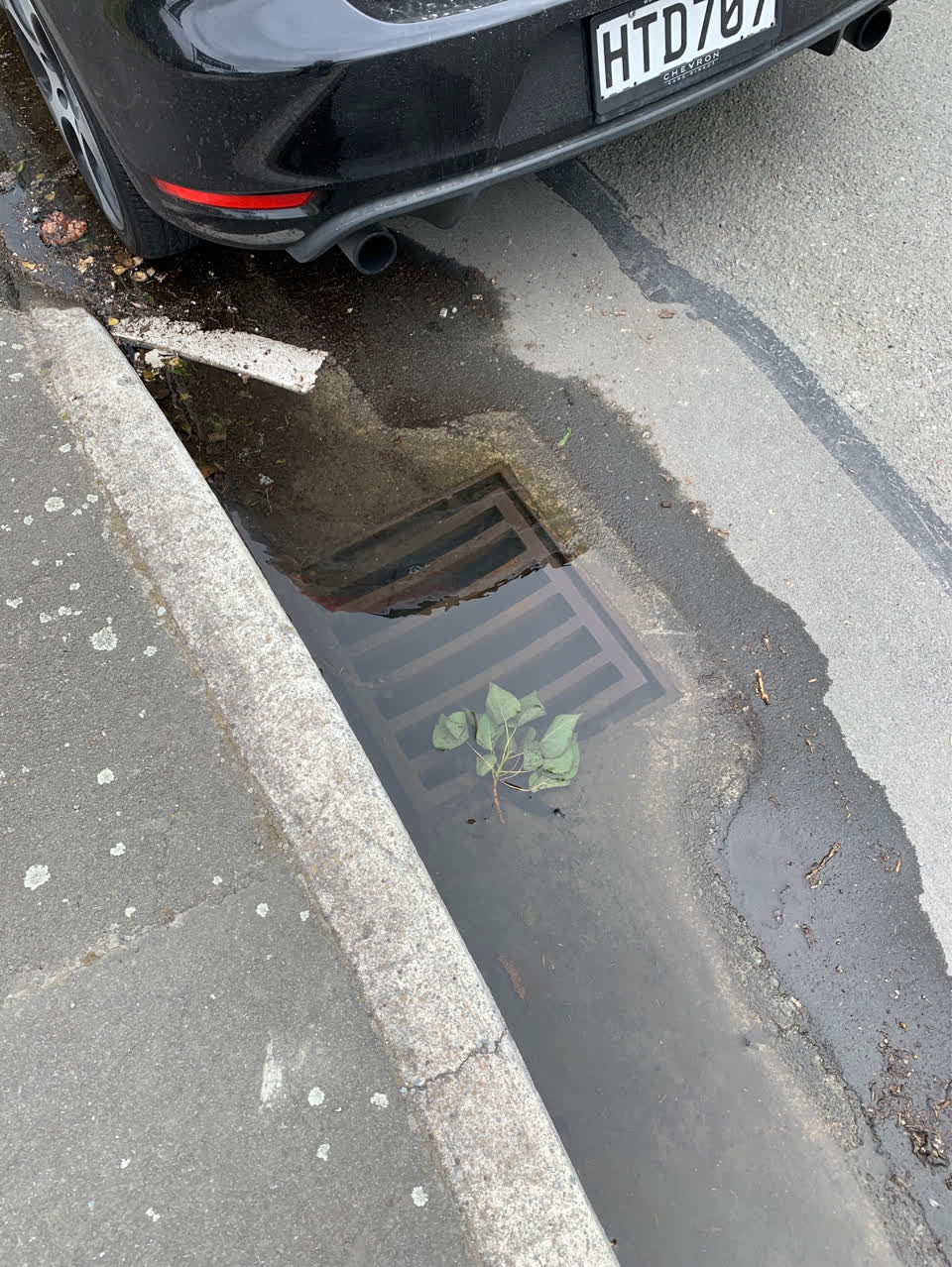 The photograph attached to this wastewater/stormwater report