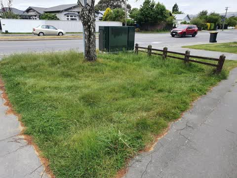 Parks — a report photo