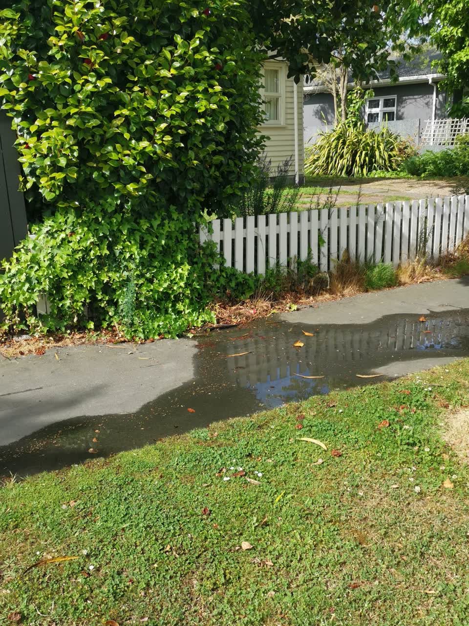 The photograph attached to this water leak report