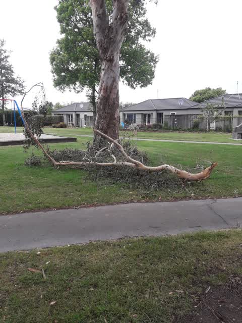 Parks, a report photo