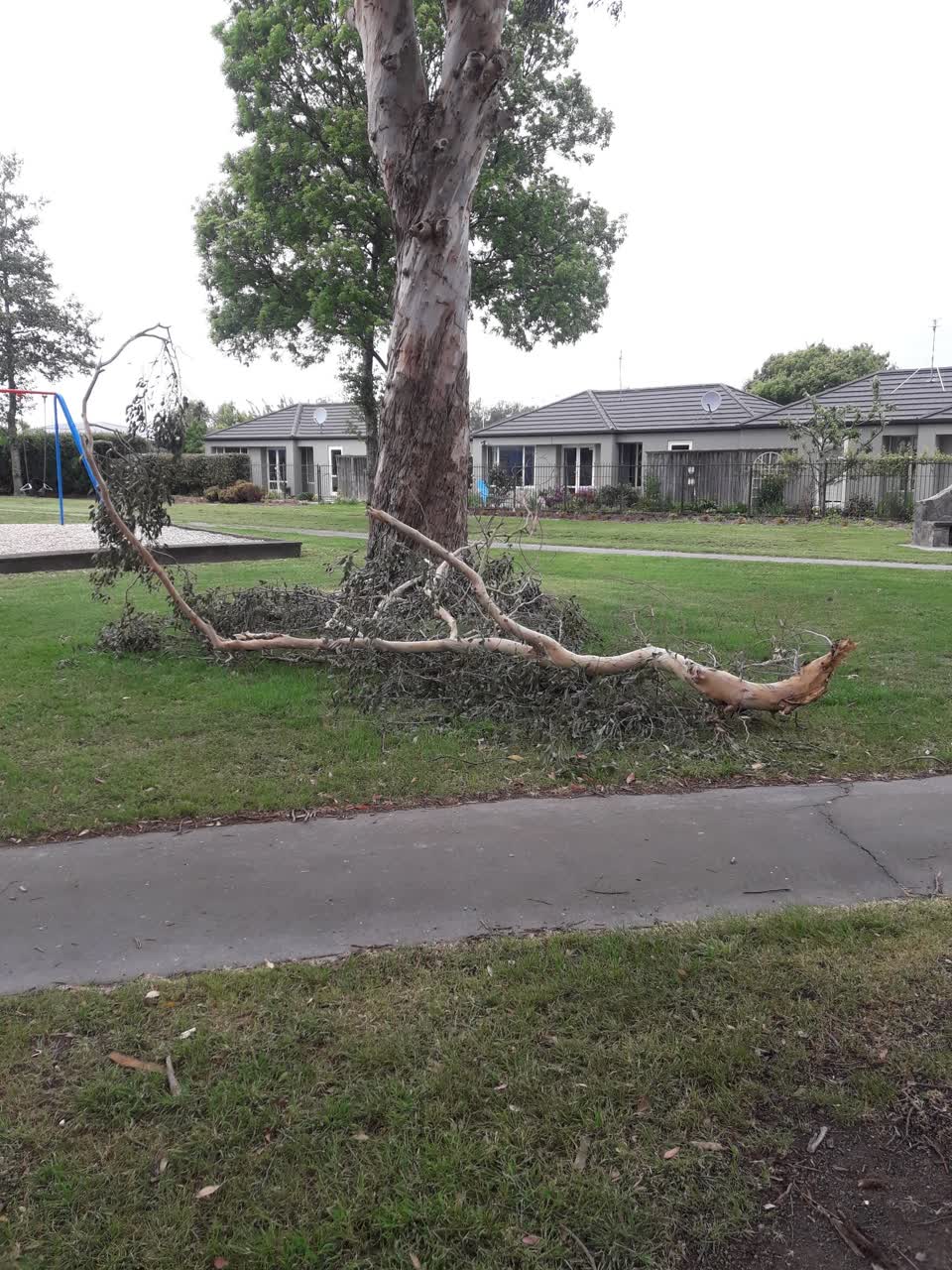 The photograph attached to this parks report
