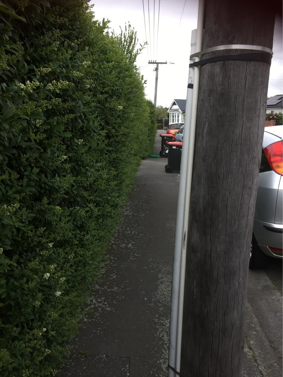 The photograph attached to this roading/streets report
