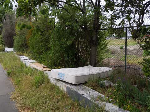 Rubbish/Recycling, a report photo