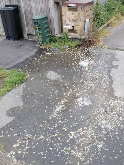 Water Leak, a report photo