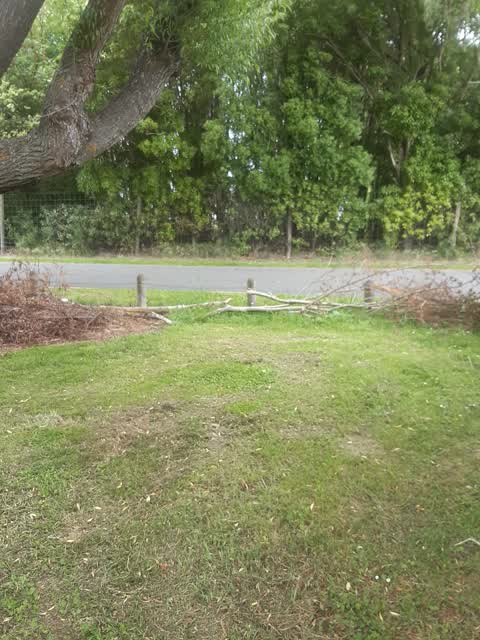 Parks, a report photo