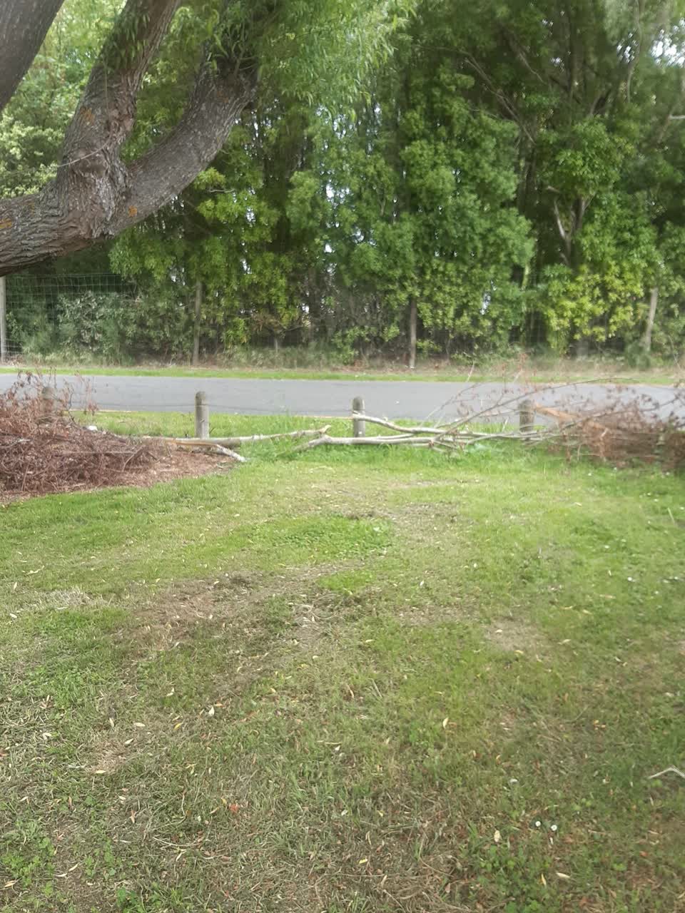 The photograph attached to this parks report