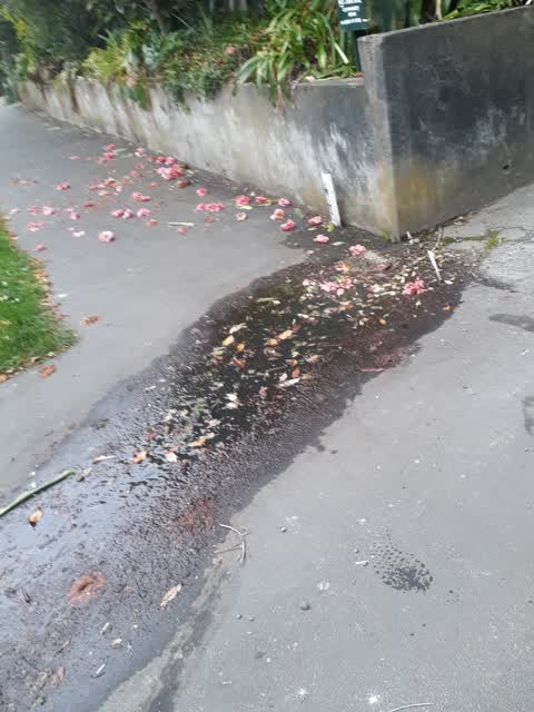 Water Leak, a report photo